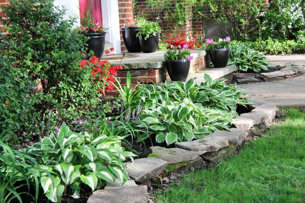 Easy Landscaping Projects