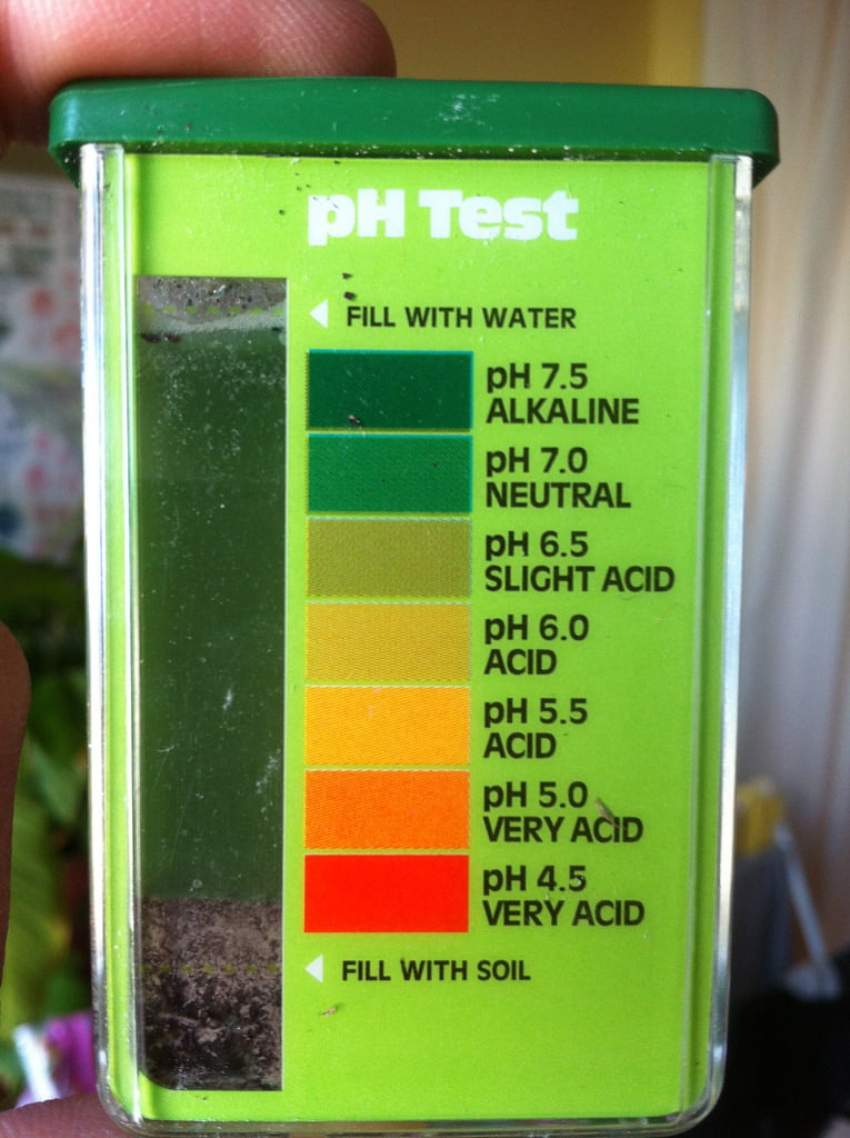 soil pH test