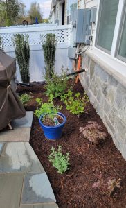mulch bed planting