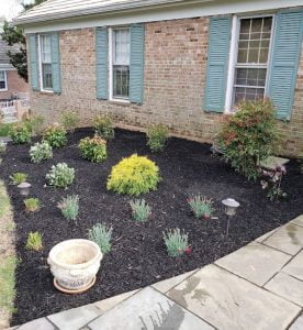 new flagstone walkway & mulch bed plantings2