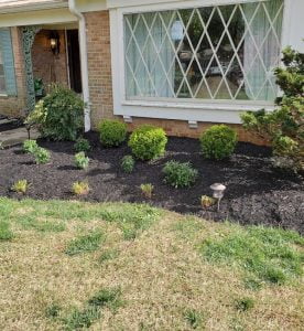 new mulch bed plantings