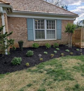new mulch bed plantings2