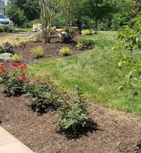 updated mulched beds & plants