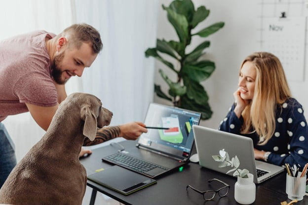 How to Thrive as a Digital Nomad and Pet Owner