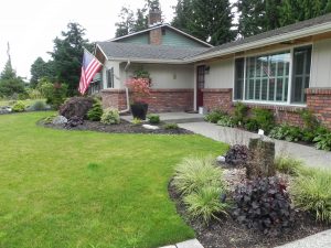 8 MOST COMMON LANDSCAPING QUESTIONS