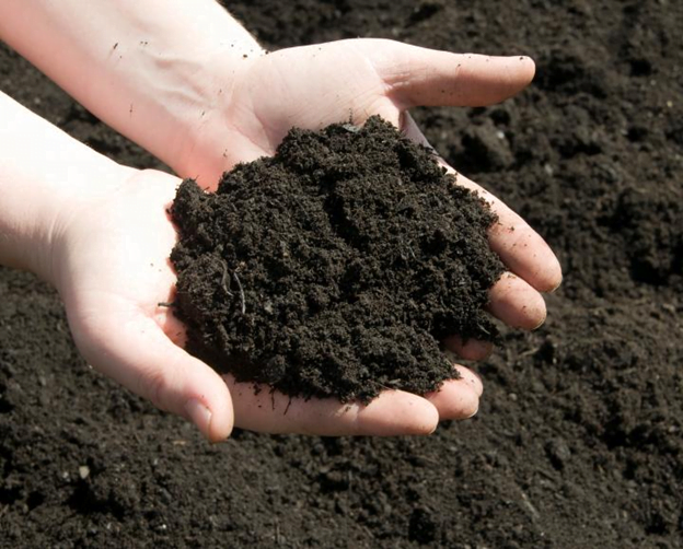 different types of potting & landscaping soils
