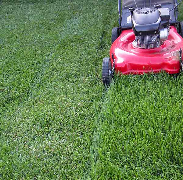 mowing grass lawn