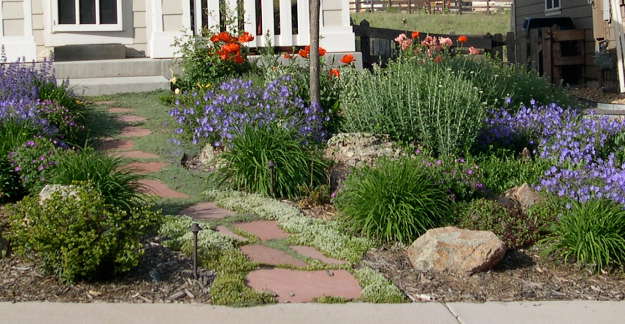 xeriscaping techniques and planting drought-tolerant plants to create a water-efficient landscape for your home